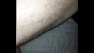 337 bears porn videos